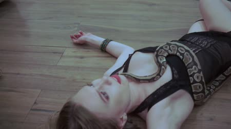 Crime House - SNAKE BITE FOR SPY Crime House - SNAKE BITE FOR SPY